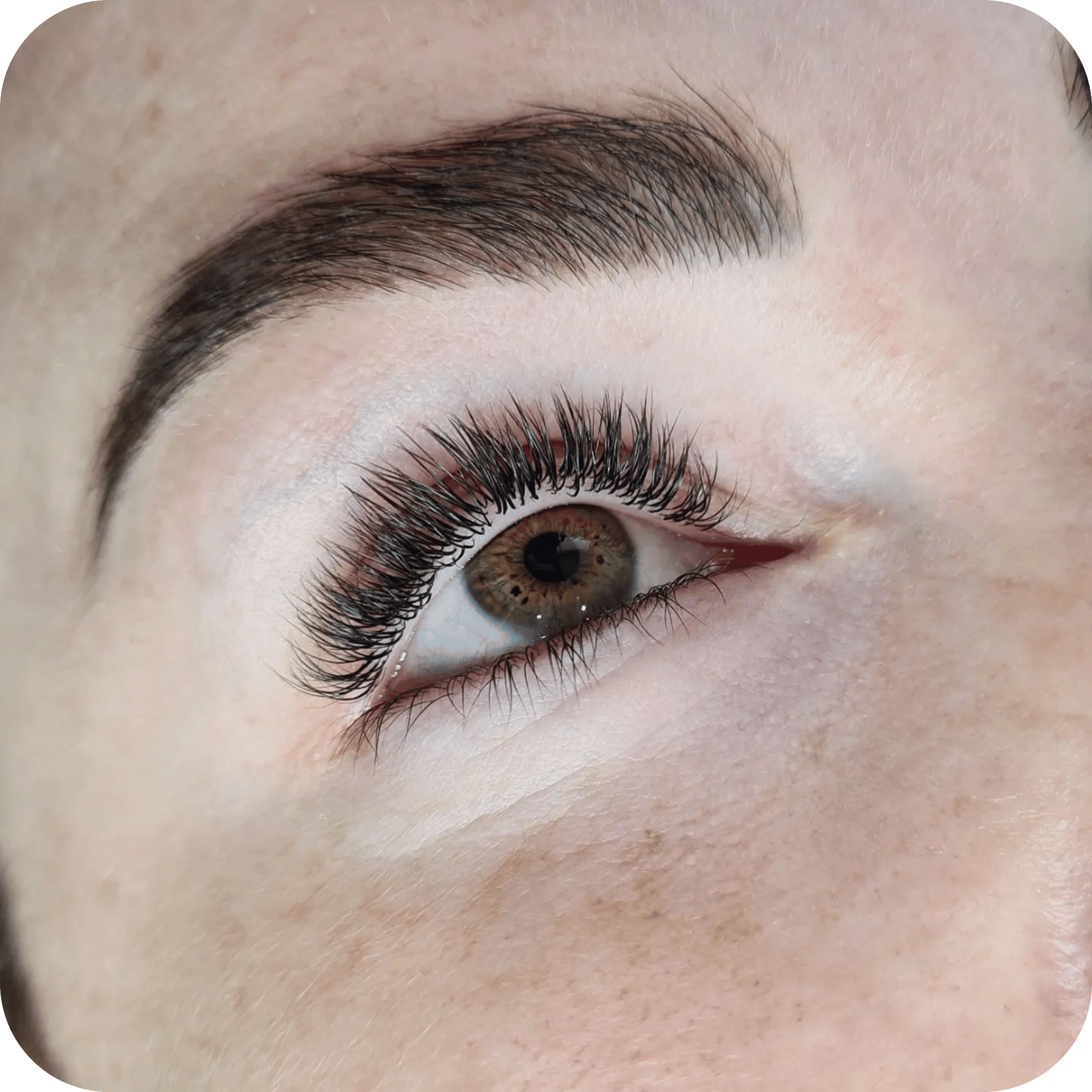 Flat Lashes